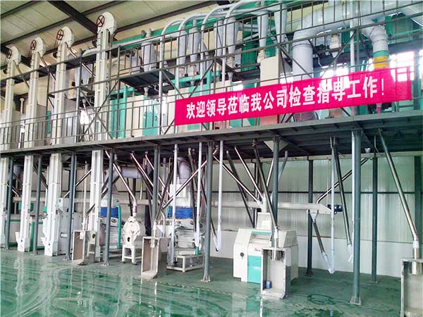 60TPD Corn Flour & Grits Production Line