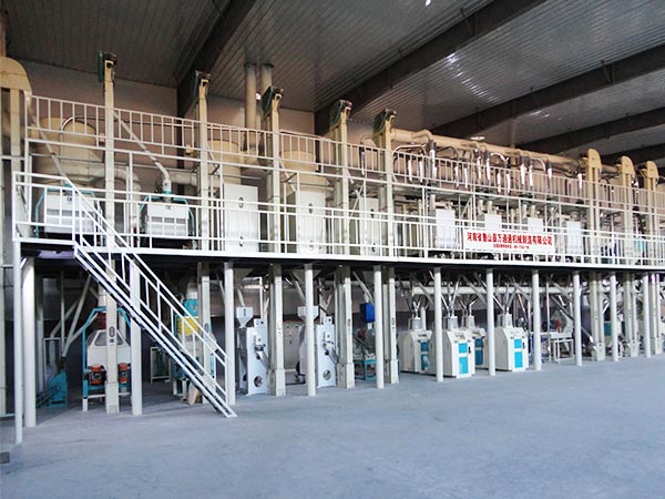 150T Corn Grits and Flour Milling Plant with Dry Method