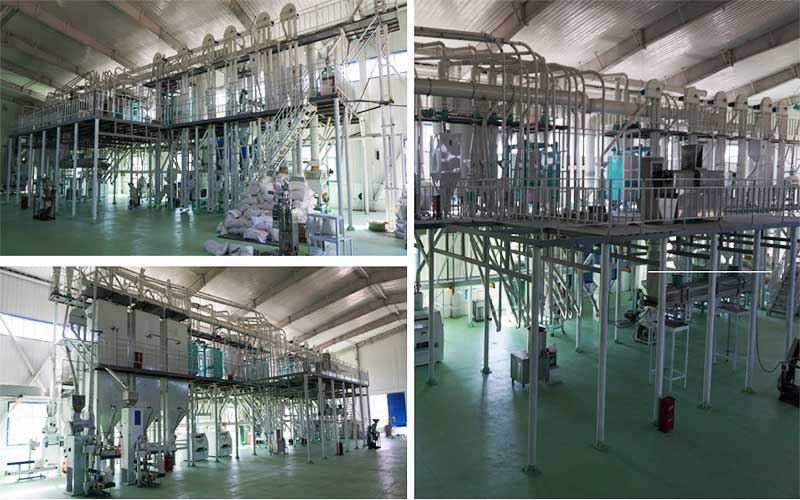 Corn Grits and Flour Production Line with Dry Method