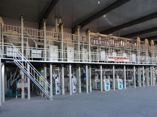 Corn Grits and Flour Production Line with Dry Method