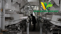 400T/Day Semi-dry Maize Germ Extracting Line in Morocco