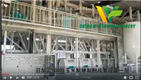 100T Maize Grits and Flour Line Built in Dayuan Company