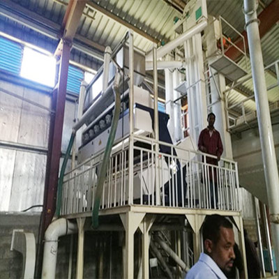 Ethiopia Coffee Beans Cleaning Line Built by Win Tone