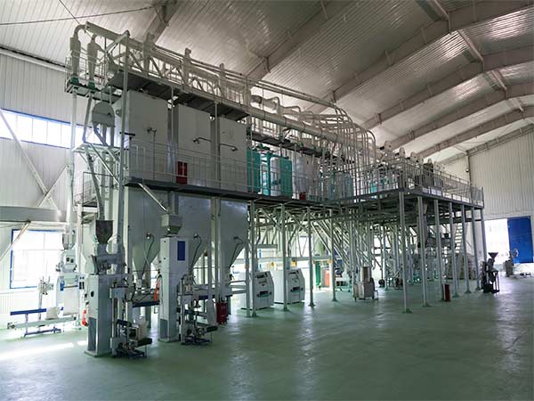 150T/Day Corn Grits, Flour and Germ Processing Line Built in Diwang Company, Anhui Province.