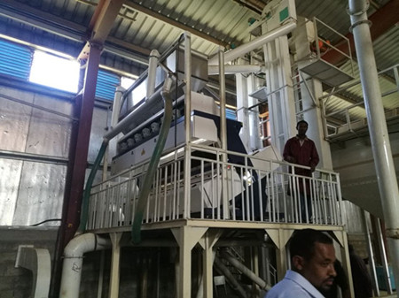 Ethiopia Coffee Beans Cleaning Line Built by Win Tone