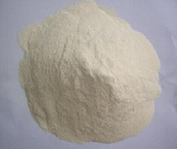 High Gluten Maize Flour Market Analysis