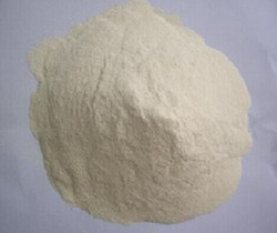 High Gluten Maize Flour Market Analysis