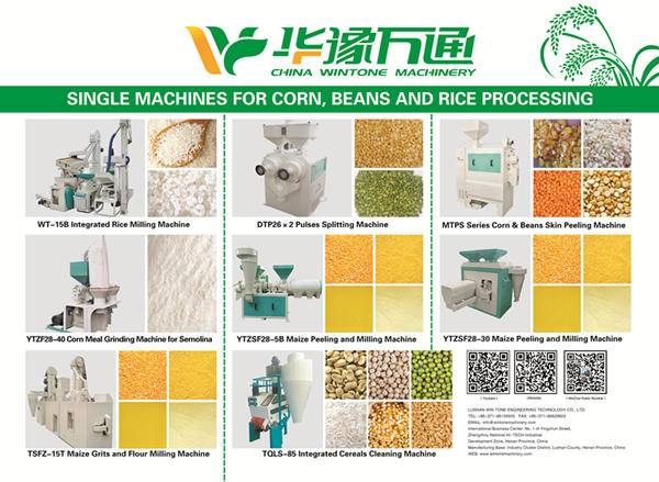 grain processing machine supplier