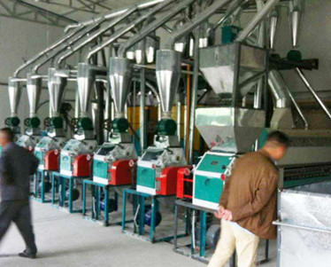 new order flour milling plant.jpg