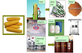 corn processing corn usage.jpg