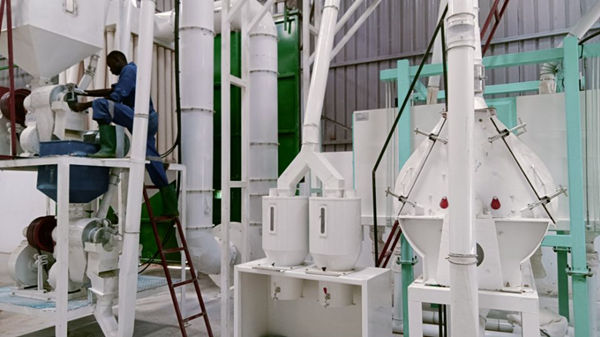Running a maize milling plant