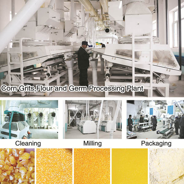 Corn Deep Processing Equipment