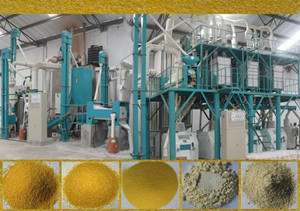 maize milling plant economic benefits.jpg