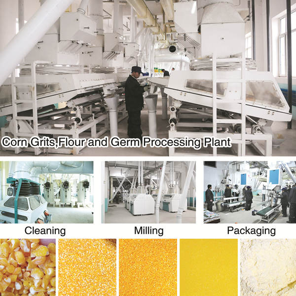 maize milling plant finished products