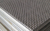 sieve mesh.jpg