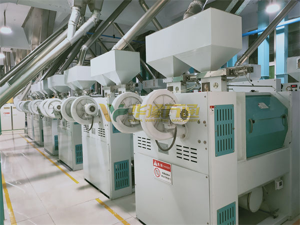 corn processing equipment