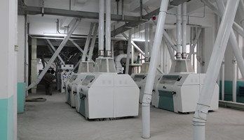 corn processing machinery manufacturer.jpg