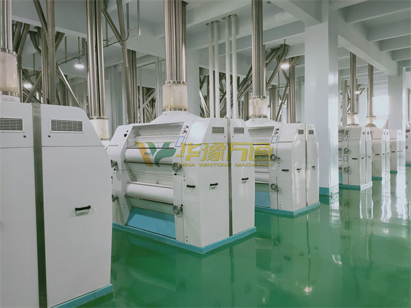 large scale maize milling plant 