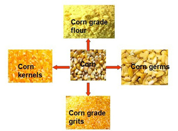 corn processing.jpg