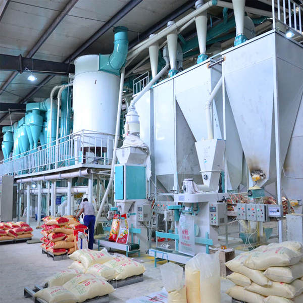 Investing in a maize milling plant