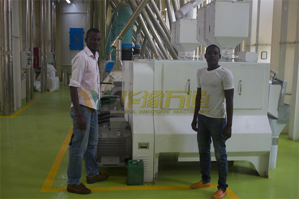 maize milling plant setup costs