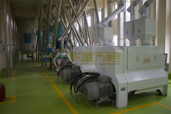 200-ton per day maize milling plant