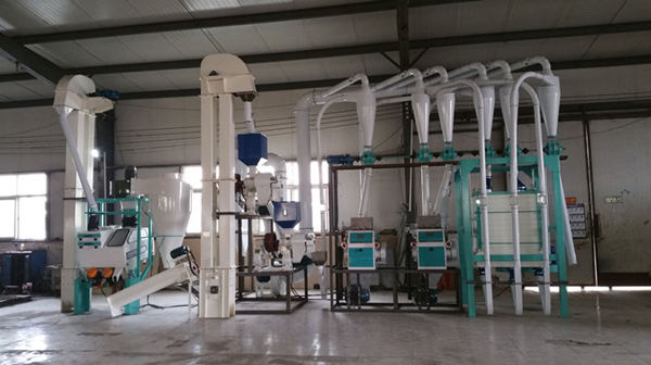 10-ton maize flour milling plant