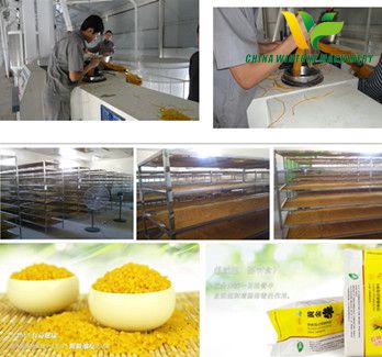 corn artificial rice production line.jpg