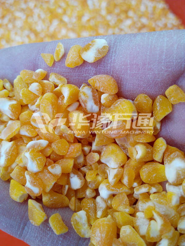 Corn cleaning and peeling plant