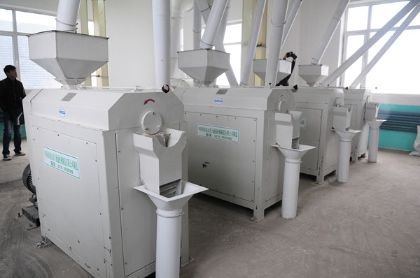 Corn Grits Processing Machine