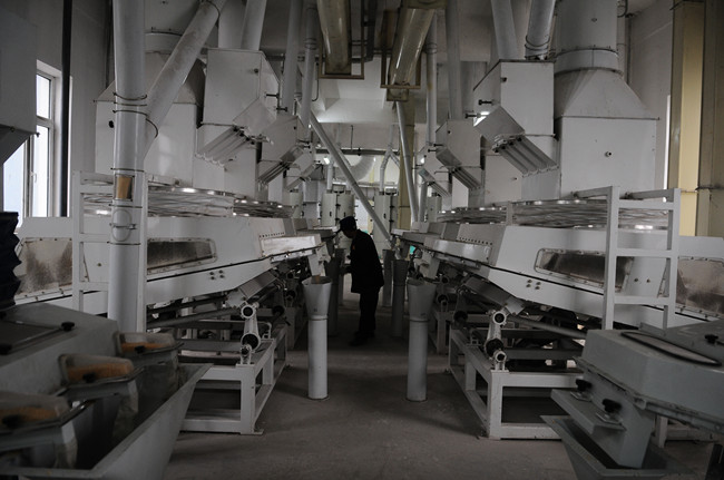 corn germ extraction line.jpg