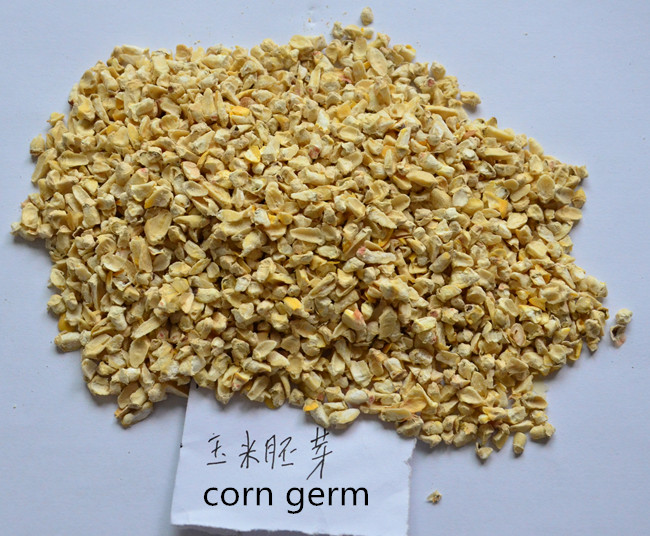 corn germ extraction line corn germs extraction plant.jpg