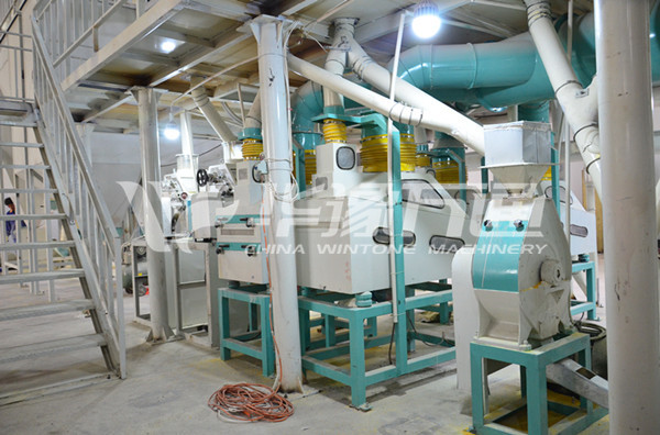 Maize Grits and Flour Milling Line