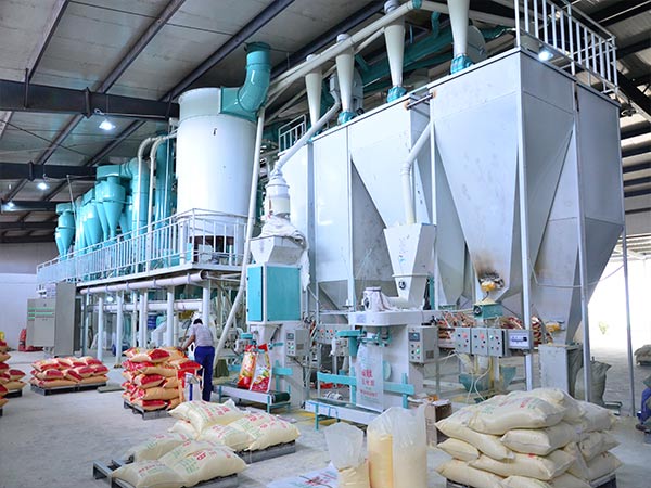 50Ton Maize Grits and Flour Milling Line