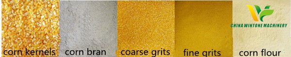 corn kernels, corn grits,corn flour.jpg