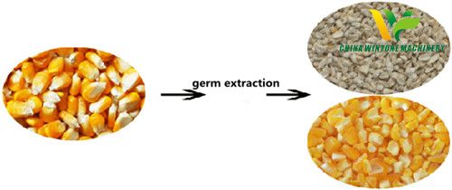 Corn Germ Extractor