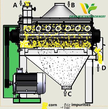 corn brushing machine.jpg