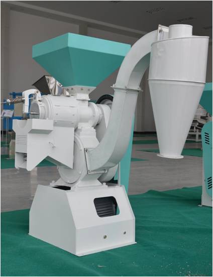 NF-280 corn peeling and polishing machine.jpg