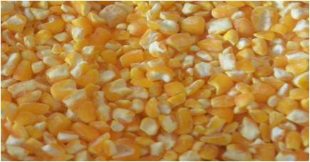 corn bran peeling machine peeled corn.jpg