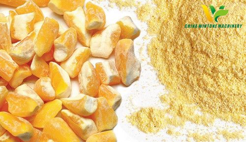 corn grits and corn flour machine set.jpg