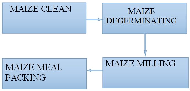 maize flour processing plant