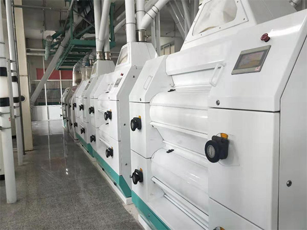 500TPD Corn Flour Milling Project