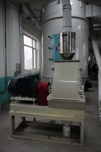 Maize milling plant or corn flour milling plant grits making