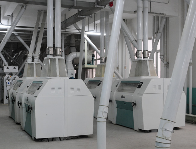 Large Scale Maize Milling Plant Corn Flour Milling Plant with Dry Method