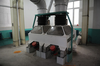 Maize milling plant or corn flour milling plant destoner