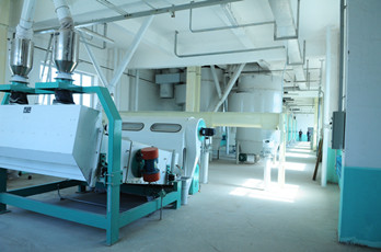 Maize milling plant or corn flour milling plant