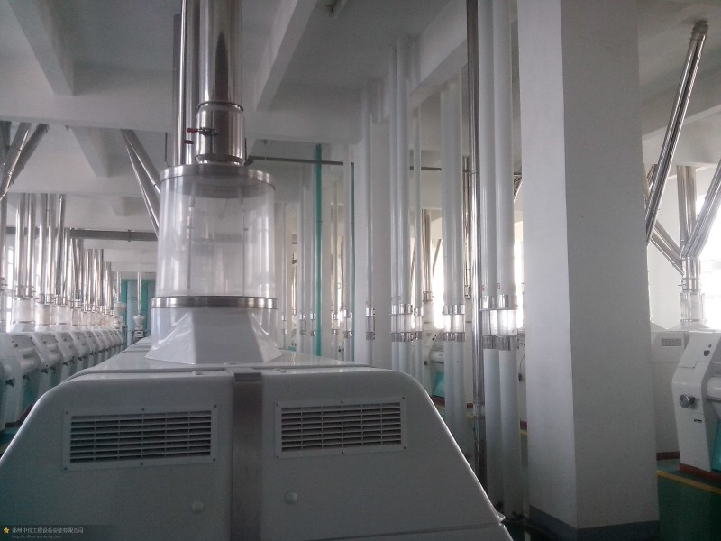 Maize milling plant or corn flour milling plant