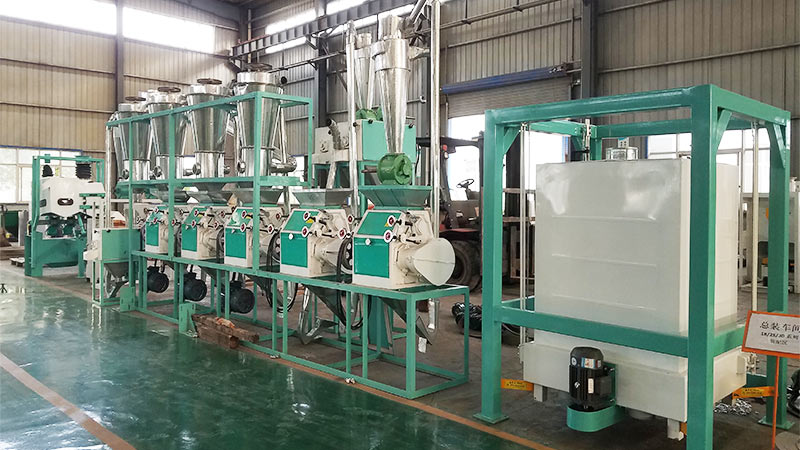 20T/day Maize flour mill plant in Kenya