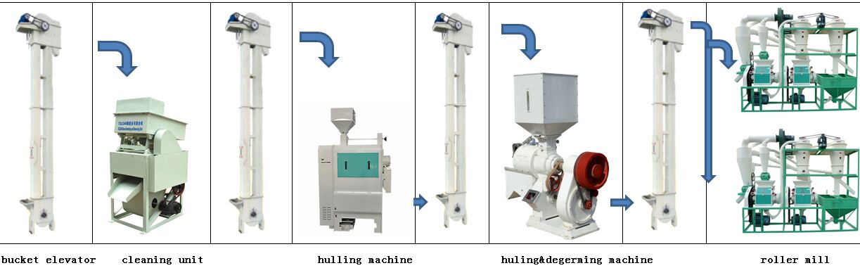 20T/Day maize milling line