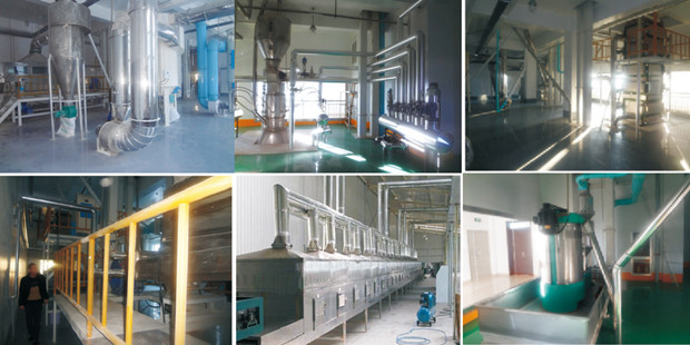 Corn Peeling, Cooking, Flaking and Milling Line